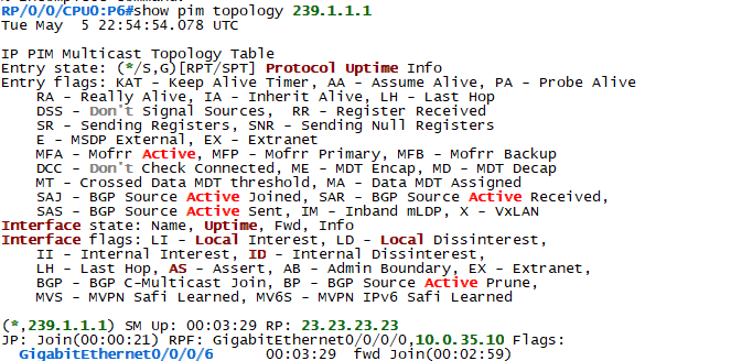 P6 PIM topology output