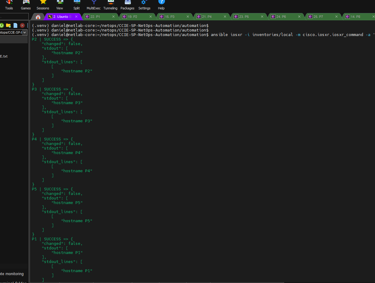 Ansible inventory validation against P routers