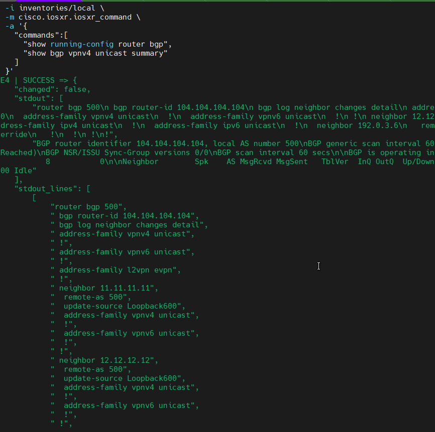 PE4 detailed BGP output