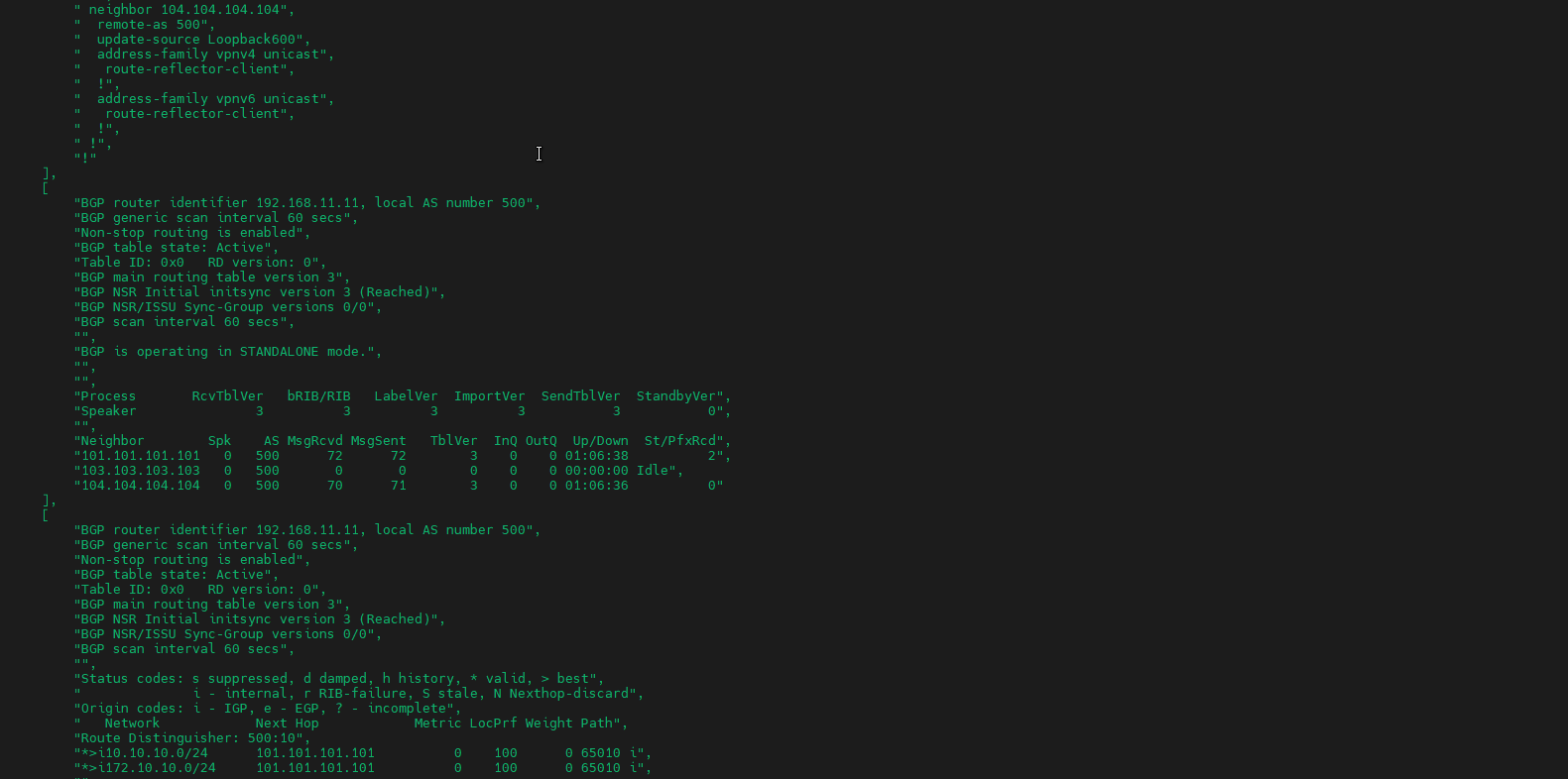 RR11 BGP verification