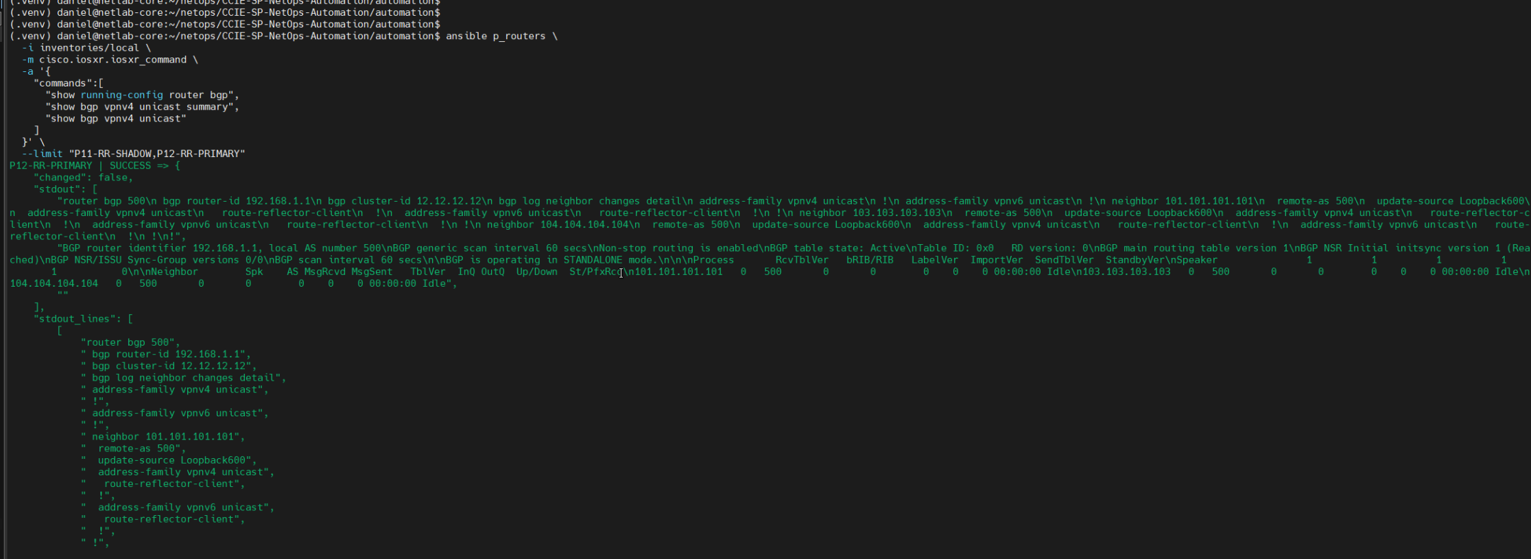 RR12 idle BGP state