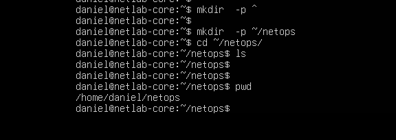 Creating the netops workspace under home directory