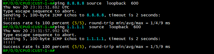 Customer VRF ping test to 8.8.8.8 and 1.1.1.1 with 100 percent success