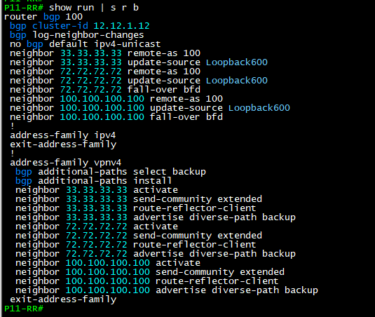 P11 RR Shadow BGP route reflector configuration with additional paths and diverse-path backup