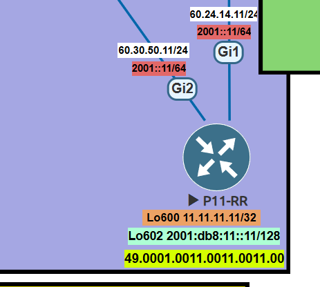P11 RR Shadow topology detail with IPv4 and IPv6 loopbacks
