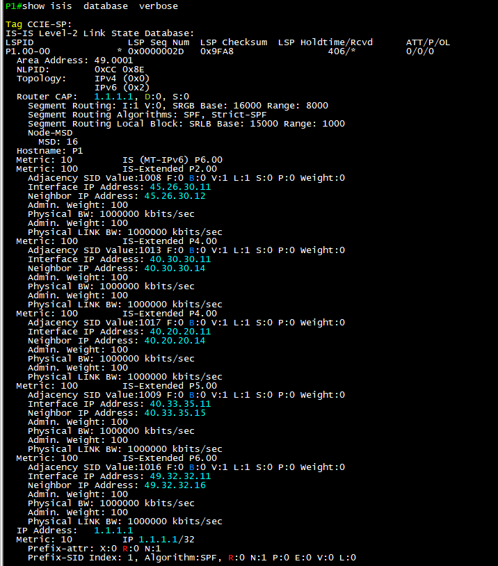 show isis database verbose output showing SR capabilities, SRGB, SRLB, adjacency SIDs, and prefix-SID