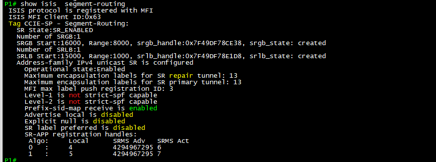show isis segment-routing output validating SRGB, SRLB, and SR app registration